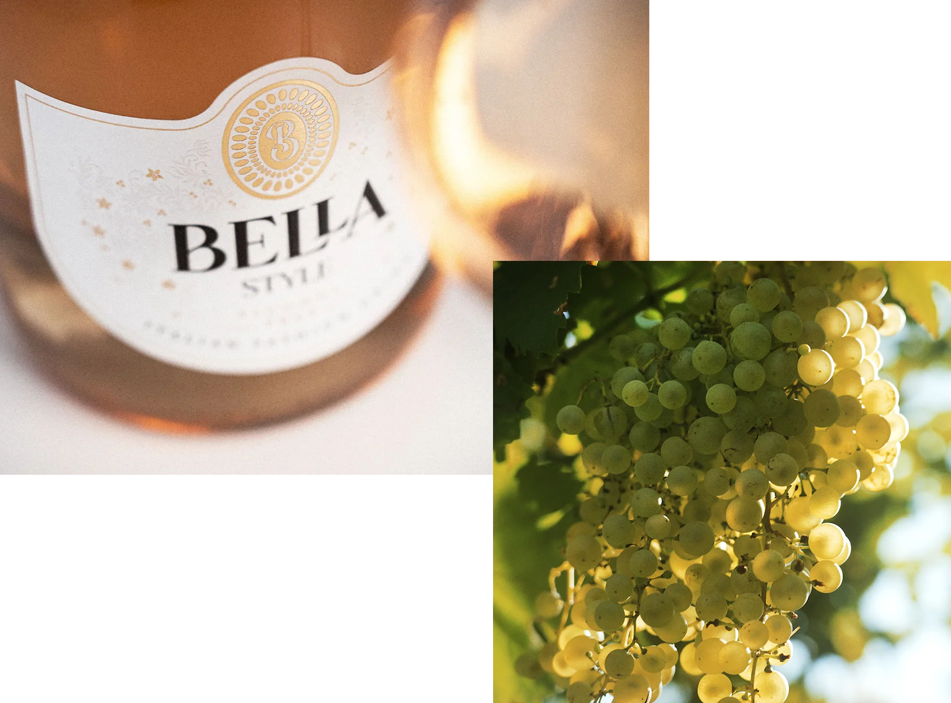 Bella bottle and grapes